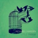 Henri Pfr & Richard J Aarden - Little Sparrow (Original Mix)