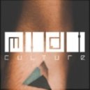 Midi Culture - Trianrgula
