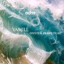 Yamill - Oyster Perpetual