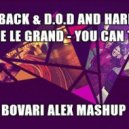 John Dahlback & D.O.D and Hardwell WW & Fedde Le Grand - You Can Touch (Bovari Alex Mashup)