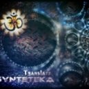 Synteteka - Metamorphosis (Original mix)