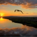 Elyptik Trevors - Un Jour Un Oiseau (Original mix)