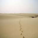 Robert R. Hardy - When You Wake Up I'll Be Away