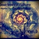 Synteteka - Goa Trance Culture vol.3 ()