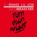 DJ Snake x Lil Jon - Turn Down For What