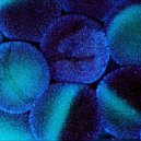 E.lementaL - Embrion