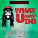 Lil Jon - What U Gon Do