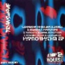 Transwave - Adoration to the Aum (Original mix)