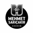 Hande Yener feat. Berksan - Haberi Var Mi (Mehmet Saricakir Remix)