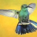 Yellow Page - The Way Of My Life (Zumbador Remix)