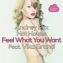 Andrey Exx, Hot Hotels, Vika Grand - Feel What You Want (Mister Salo remix)