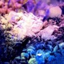 Shelter Point - Serenity