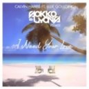Calvin Harris feat. Ellie Goulding - I Need Your Love (Sokko & Lyons Remix) (Sokko & Lyons Remix)