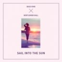 Bass King x Gentlemen Hall - Sail Into The Sun (Original mix)