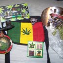 Miki Litvak - Winki Style