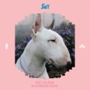 Dan Bodan - Soft As Rain