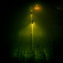 Lion Forest x CraSET - Lonely Night (Elaide remix)