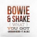 Bowie & Shake feat. M.I.M.E - What You Got (Jakoban Remix) (ft. M.I.M.E)