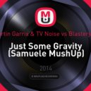Martin Garrix & TV Noise vs. Blasterjaxx - Just Some Gravity (Samuele MushUp)