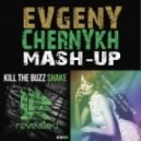 Kill The Buzz Vs. Florence + The Machine - Snake Spectrum (Say My Name) (Evgeny Chernykh Mash-Up)