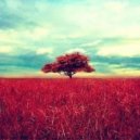 We Need Cracks - Red Fields (Original Mix)