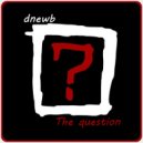 dnewb - The question (Original mix)