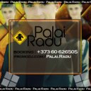 Apashe & Noah Jordan feat. Purle Project - No Twerk Big Love Lume Bass (Palai Radu MashUP 2015)