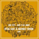 Owl City, Aytac Kart, Mahmut Orhan - Take It All Away (Aytac Kart & Mahmut Orhan Remix)