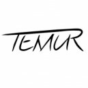 Temur - Sivesgaard - In The Night (Temur Remix) (Temur Remix)