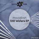 mood:ish - Still Waters (Original Mix)