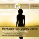 Hokkaido - Sigh For the Beauty (Aaron Static Remix)