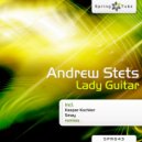 Andrew Stets - Lady Guitar (Smay Remix)