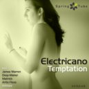Electricano - Temptation (Matrick Remix)