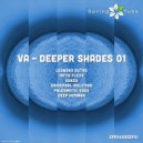 Deep Herman - Swimming With Killer Whales (Original Mix)