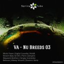 NickB - Sunny Brook (Original Mix)