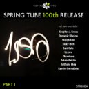 Claes Rosen - Into the Bloom (Lessov Remix)