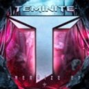 Teminite feat. Jonah Hitchens - Come Together Now