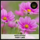 Alex Kovac - Noise in the Head