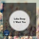 Loka Deep - Night in Miami (Original Mix)