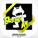 Stephen Walking - Top Of The World 2 (LayonX Breaks Mix)