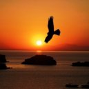 Sonic Scope - Fly With Me