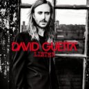 David Guetta feat. Emeli Sande - What I Did For Love (David Guetta & Morten Remix)