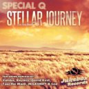 Special Q - Stellar Journey (Ced remix)