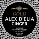 Alex D\'Elia - Ginger (Jay Plexer Remix)