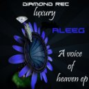 Aleeg - A Voice Of Heaven (Yosef Remix)