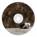 Edgar Morris - Sorrel