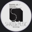 Sheef Lentzki - The Girl With A Large Sweat (Original mix)