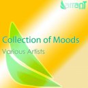 Alexey Sorokin - Calm Down (Original Mix)