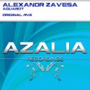 Alexandr Zavesa - AquaBot