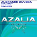 Alexandr Zavesa - AquaBot (Danny Roy Remix)
